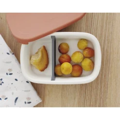 BÉABA Goûter Sain|Couverts Vaisselle Et Bavoirs*Boîte repas céramique Gris minéral/Terracotta
