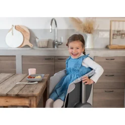 BÉABA Chaises Évolutives*Coussin d'assise Junior pour Chaise Haute Up and Down Gris